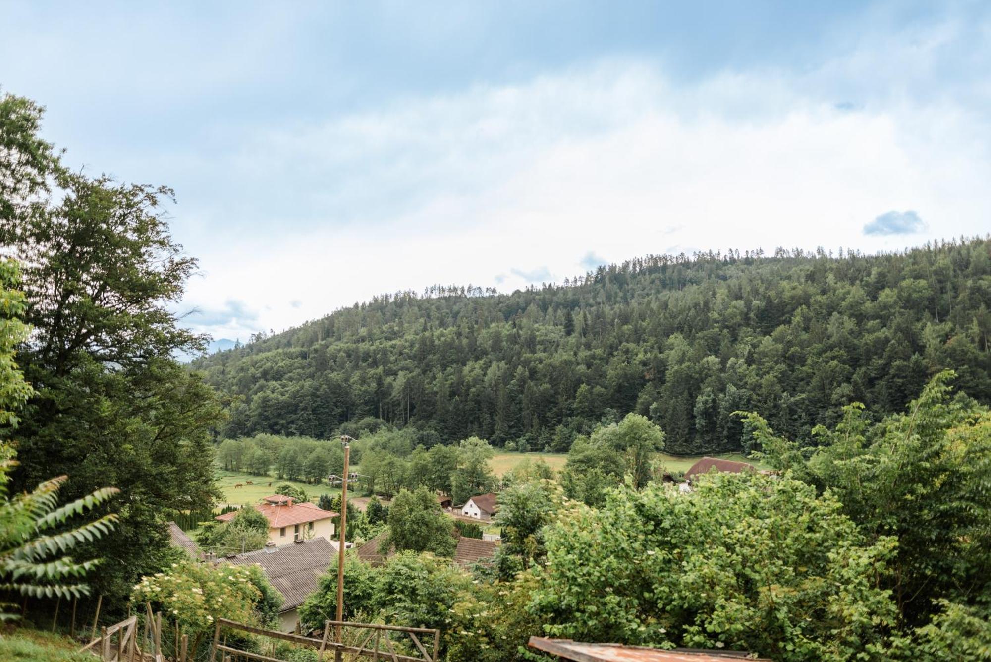 Fernblick Villa Klagenfurt am Woerthersee Eksteriør billede